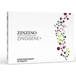 ZINZINO ZinoGene+