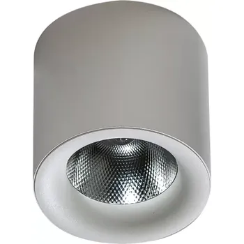 LED bodové světlo Mane 20W Dimm bílé