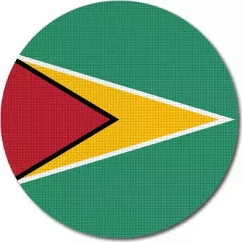 Vlajka Pelisport Guyanská vlajka kulatá ø 45 mm