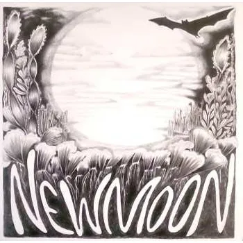 Zahraniční hudba LP The Orbweavers: New Moon / Silver Moon 2024