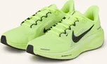 NIKE Pegasus 41 FD2723-701