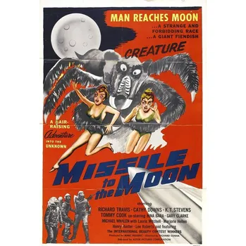 Plakát Plakát, Obraz - Missile To Moon
