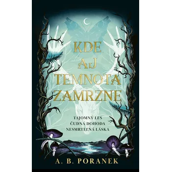 Kniha Kde aj temnota zamrzne - A. B. Poranek (E-Kniha)