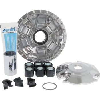 Motor pro motocykl Polini Variátor Maxi Hi-Speed Piaggio 200-300 P.33144