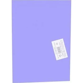 Výtvarný papír Karton A4 170g 20listů fialová světle