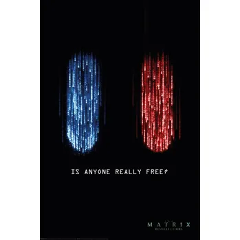 Plakát Plakát, Obraz - The Matrix: Resurrections - The Choice is Yours
