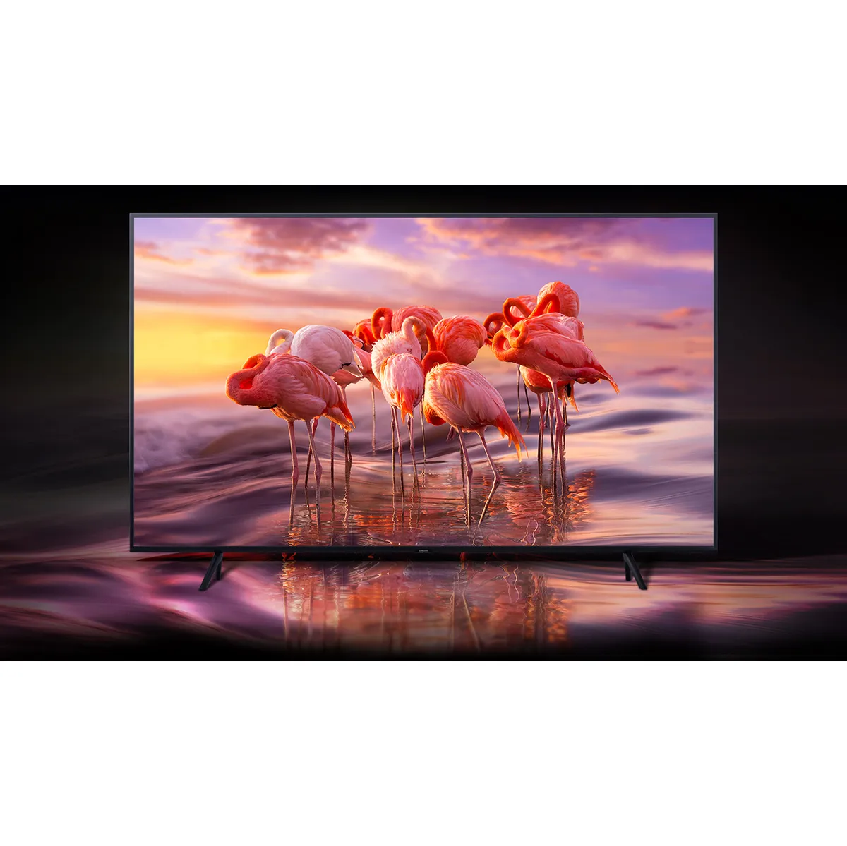 televize Samsung QE75Q60R