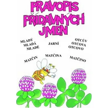 Český jazyk Pravopis přídavných jmen: Procvičovací sešit pro 5.ročník ZŠ - Pansofia