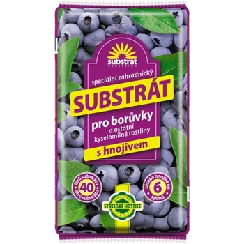 Pěstitelství Forestina Substrát pro borůvky 40 l