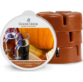 vonný vosk Vosk do aromalampy Toasty Pumpkin Toddy – Dýňový grog 59 g Goose Creek