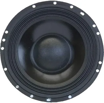 NST06 Master Audio reproduktor