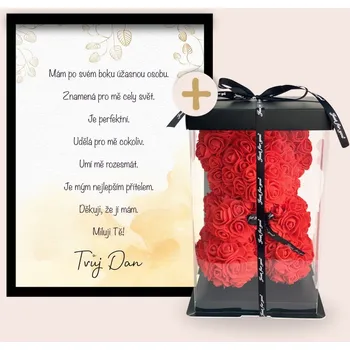 Dárkový potravinový koš Medvídek z růží + plakát s věnováním ÚŽASNÉ OSOBĚ Barva: Červená, Dárkový box: S dárkovým boxem