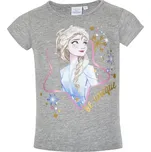 Frozen - licence Dívčí tričko - Frozen EV1016, šedá Barva: Šedá, Velikost: 104