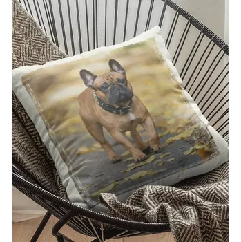 Dekorativní polštářek Polštář Pes 16 29 x 29 cm