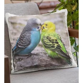 Dekorativní polštářek Polštář Andulky 38 x 38 cm