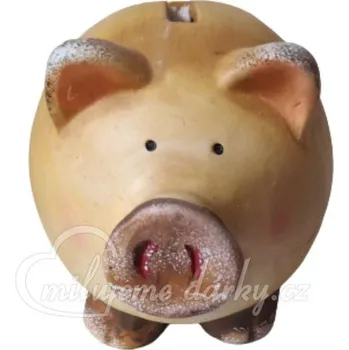 Pokladnička Keramická pokladnička Prasátko, 12cm