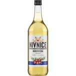 Linea Nivnice Borovička 37,5 % sklo