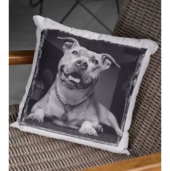 Dekorativní polštářek Polštář Pes 9 38 x 38 cm