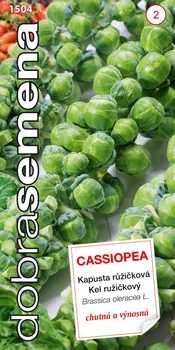 Semeno Dobrá semena Cassiopea kapusta růžičková 0,7 g