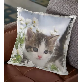 Dekorativní polštářek PolštářJKočka 1 38 x 38 cm