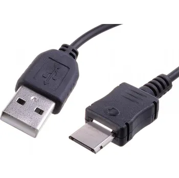 Avacom USB/D800 120 cm černý