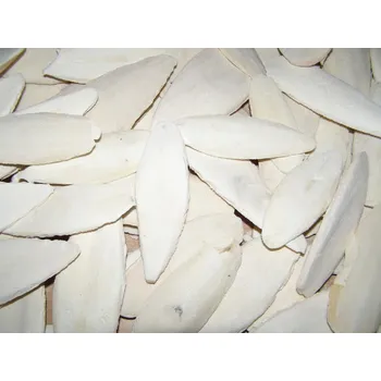 Krmivo pro ptáka Zagers Vogelvoeders Sépiová kost pravá cca 11 cm balení 20 ks