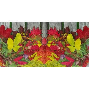 Karetní hra BArevné listy