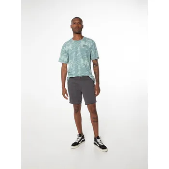 Pánské kraťasy Pánské kraťasy PROTEST BASTIAN šedá XXL