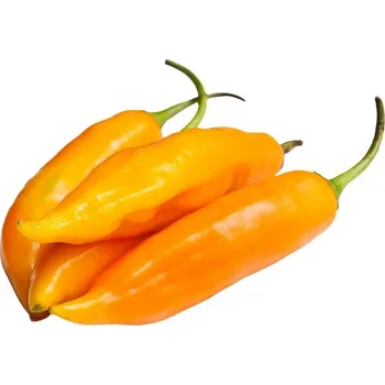Koření Aji Amarillo - semínka chilli