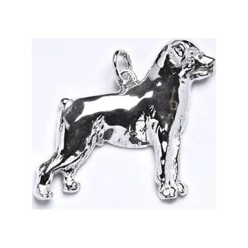 Přívěsek Stříbrný přívěsek pes rotvajler