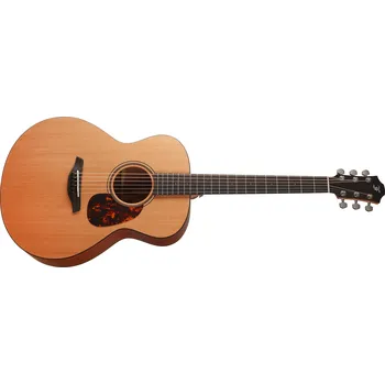 Akustická kytara Furch Blue G-CM