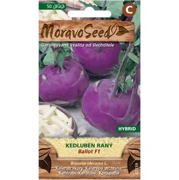 Semeno Kedluben raný BALLOT F1 - hybrid, modrý 62339