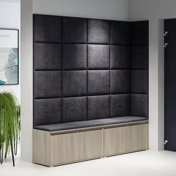 Předsíňová stěna Eka Předsíňová stěna s čalouněnými panely Trinity 3 - Sonoma / Černá 2316