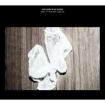 Zahraniční hudba CD Evan Parker: What / If / They Both Could Fly 2013