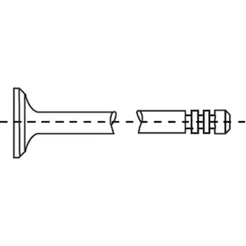 Ventil motoru Corteco 49355873