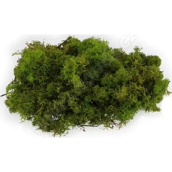 DEKORACE - Severský sobí mech světle zelený Obsah: 300 g