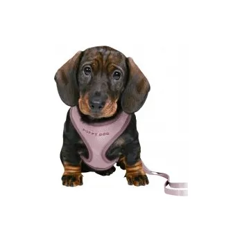 Postroj pro psa Postroj Puppy Soft souprava světle šedá