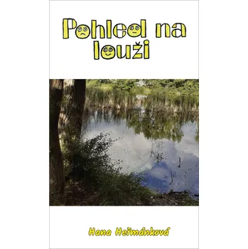 Pohled na louži - Hana Heřmánková