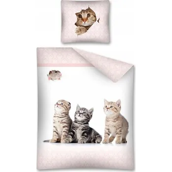 Povlečení Povlečení kotata