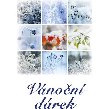 Vánoční dárek - Akcent (2018, pevná)