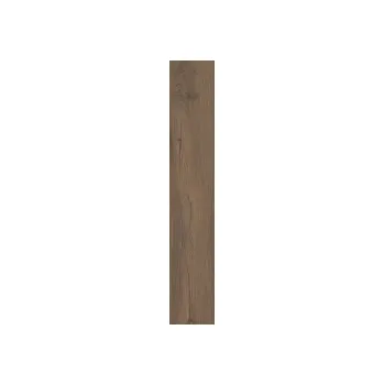 Dlažba Dlažba Italgraniti Alnus terra 20x120 cm naturale rektifikovaná