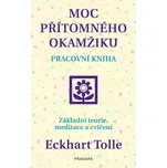 Moc přítomného okamžiku: Pracovní…