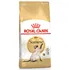 Krmivo pro kočku Royal Canin Siamese Adult