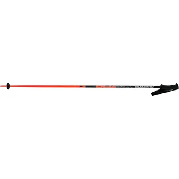 Sjezdové lyžování Lyžařské hole Blizzard ALLMOUNTAIN SKI POLES - neon orange 20/21 délka: 125
