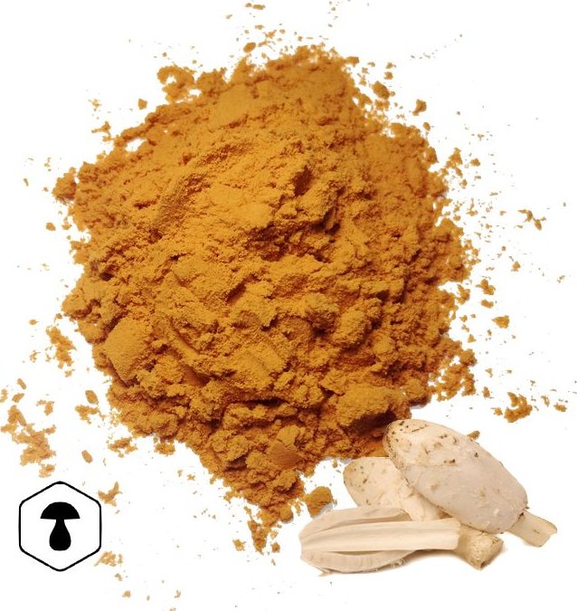 LifeChi - Hnojník obecný (Coprinus comatus) extrakt v prášku 50 g
