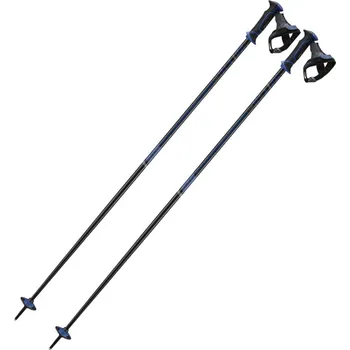 Sjezdová hůlka SALOMON X10 Ergo S3 120 cm