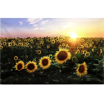 Obraz Autronic BD560