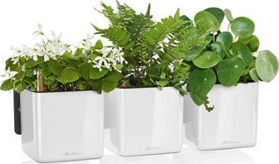 Lechuza zelená stěna premium white komplet - Do interiéru