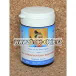 Síla opravdového bojovníka 100 tablet TCM Herbs