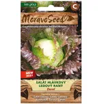 MoravoSeed Derel salát hlávkový 500 ks